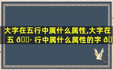 大字在五行中属什么属性,大字在五 🌷 行中属什么属性的字 🦟